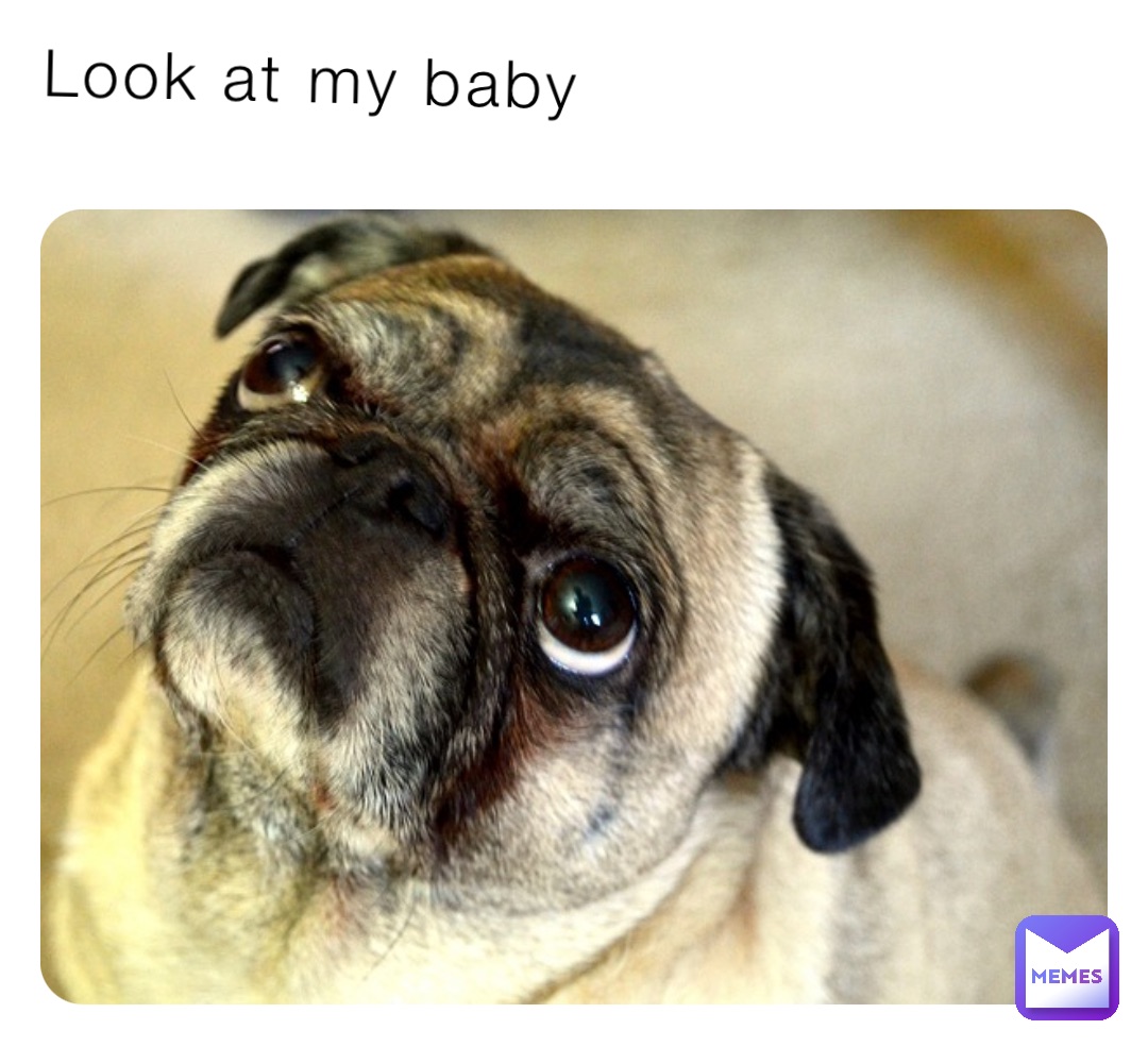 Meme by gittergurl689