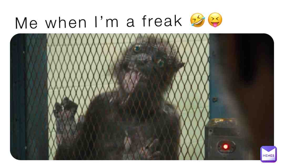 Meme preview