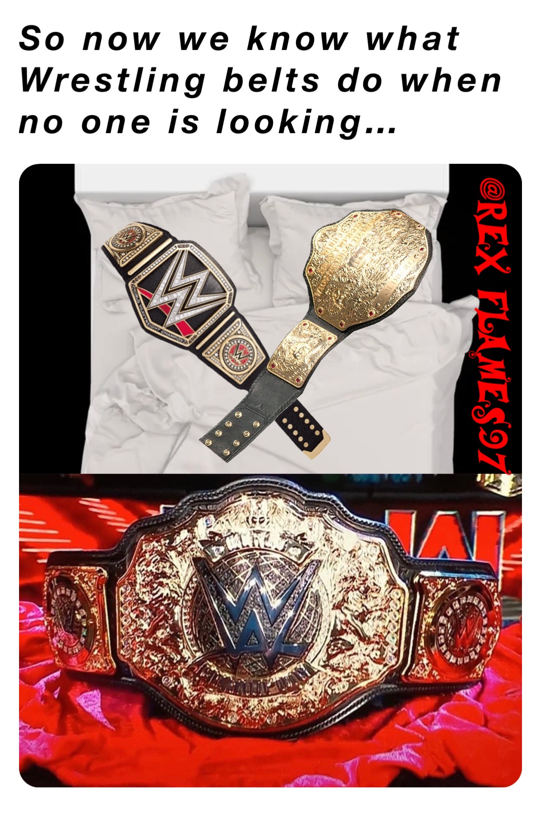 So now we know what Wrestling belts do when no one is looking…