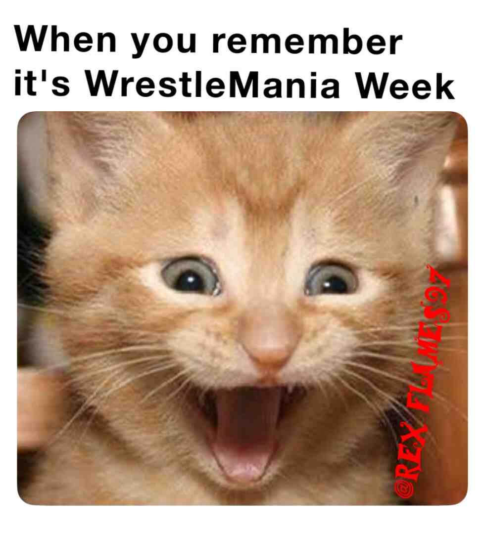 #wwe #wrestlemaniaxlii #prowrestling