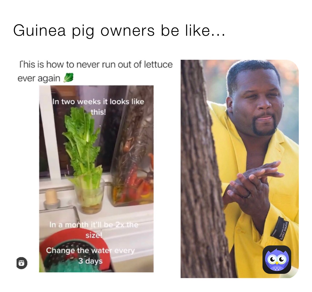 Meme by rcstuckey5697