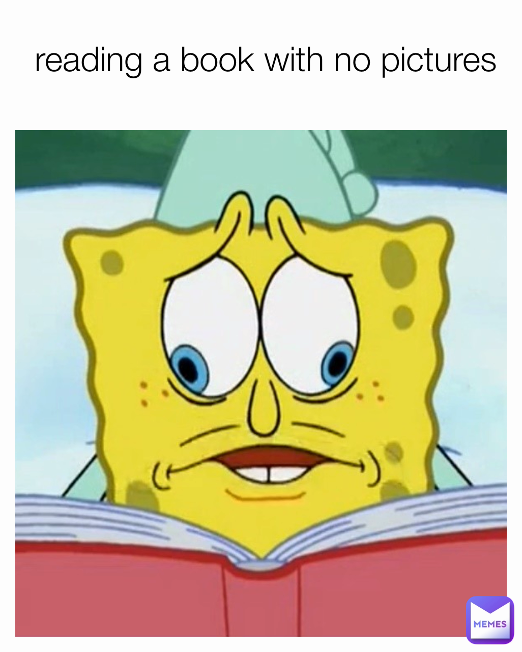 reading a book with no pictures