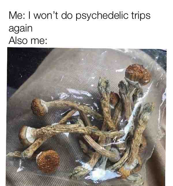 Hell yesssss fam you can HMU for that loud psychedelic inbox πππ€ #mushrooms #psychedelic #shrooms #dmt #lsd #molly #ectasy β #weed #stoner #thc β #indica