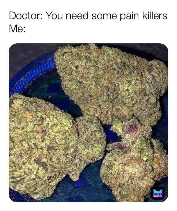 Hell yeah that loud pain killers at http://budandshroomstore.catalog.to letβs blaze and watch more memesπ₯ππβ€οΈ