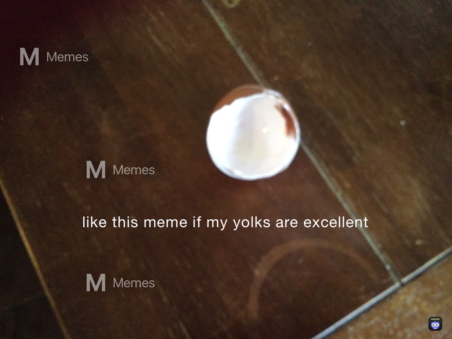 Meme by GlitterSparrkle519