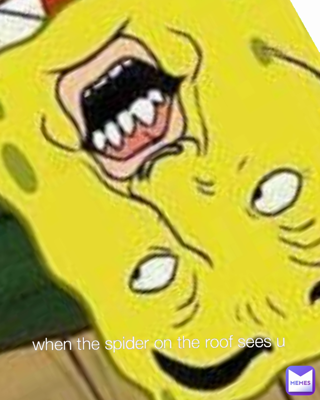 when the spider on the roof sees u