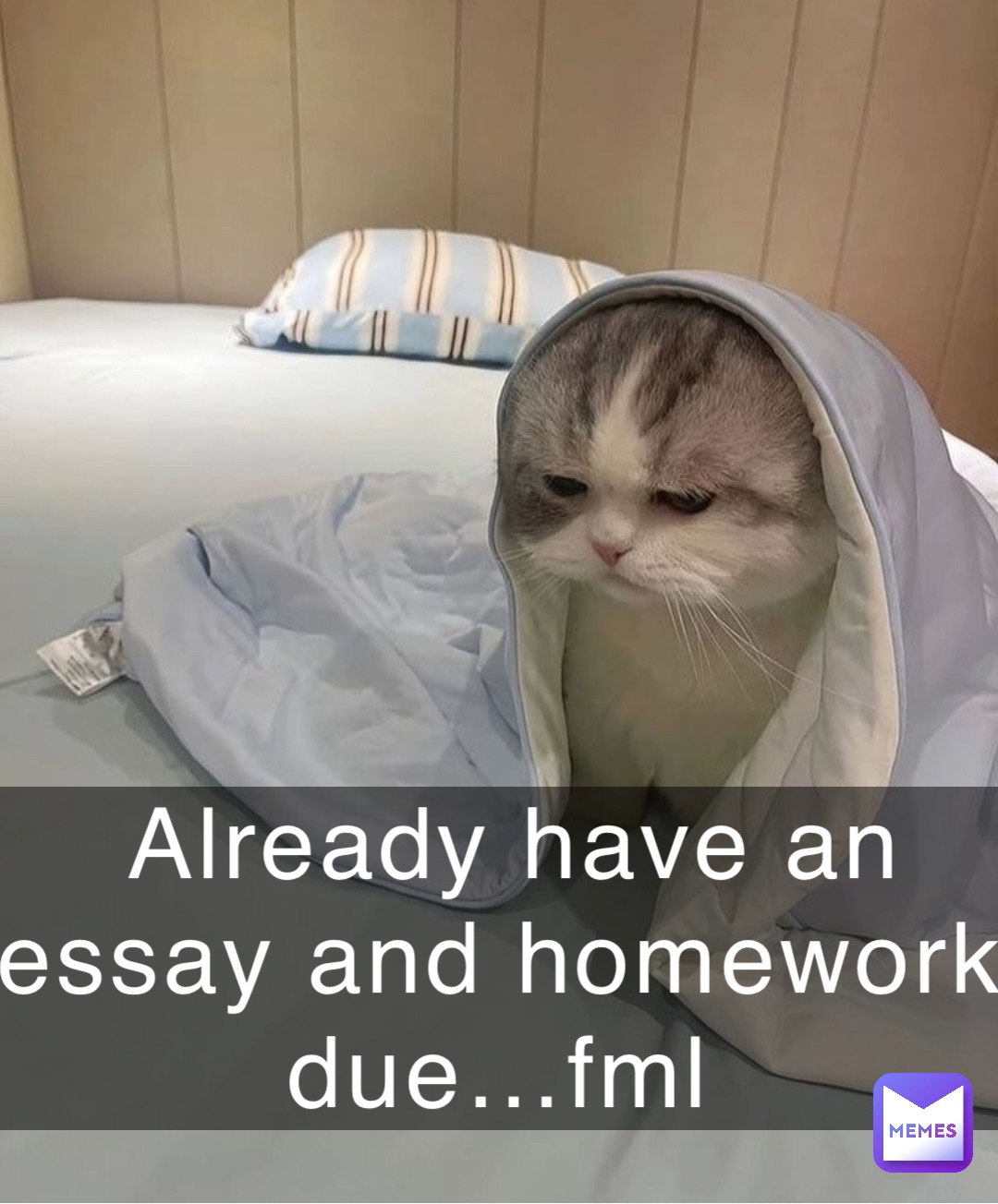 Already have an essay and homework due…fml