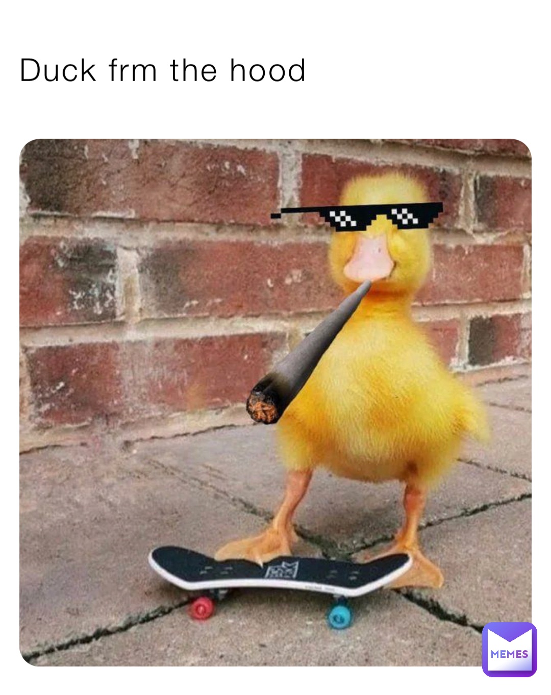 Duck frm the hood