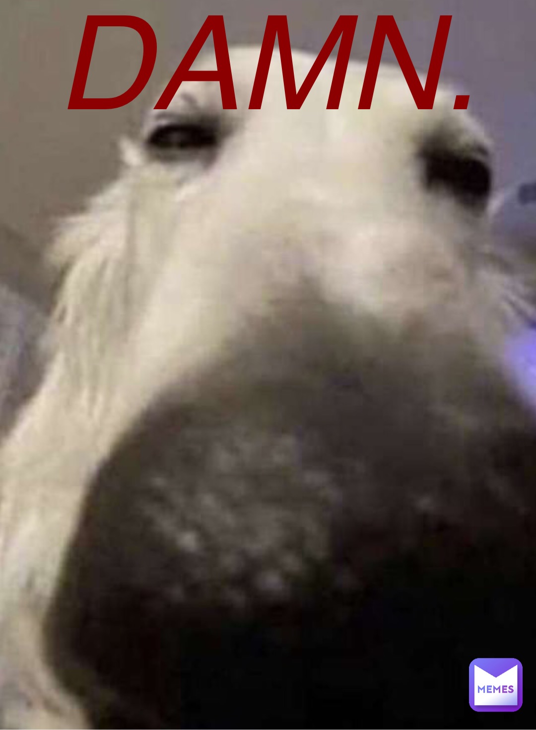 Meme by odielayman03