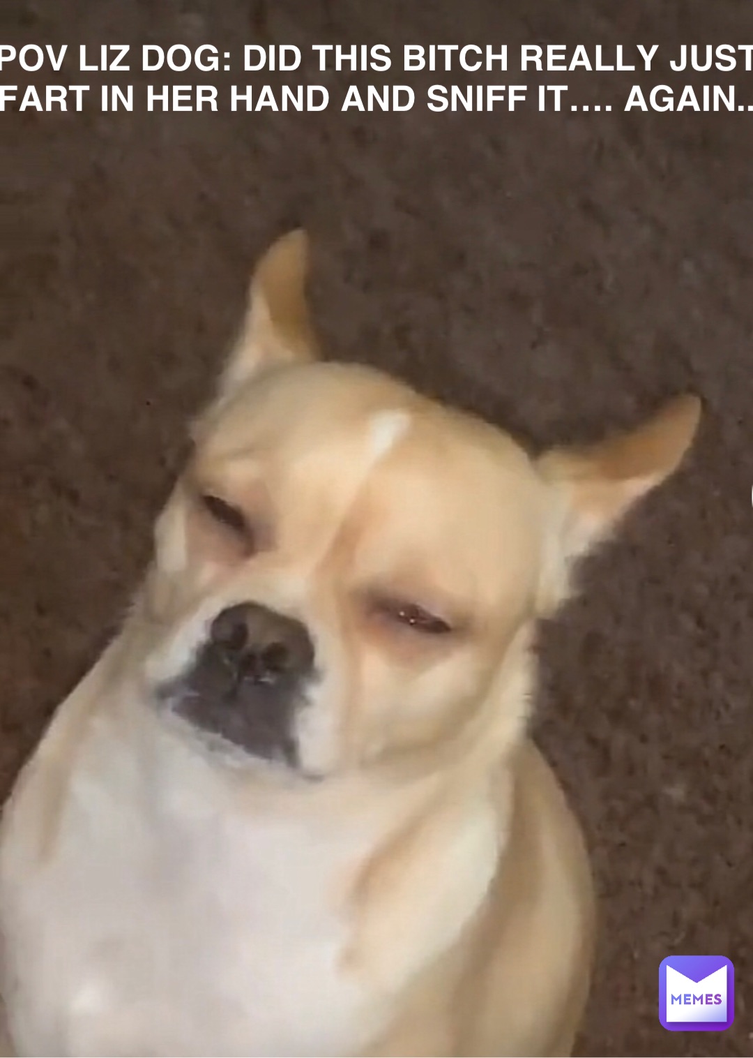 Meme by odielayman03