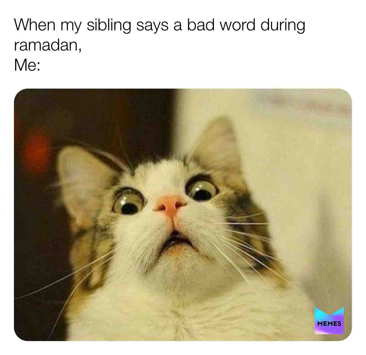 It is what it is- #memes #Muslim #ramadan #vines #jokes #cats