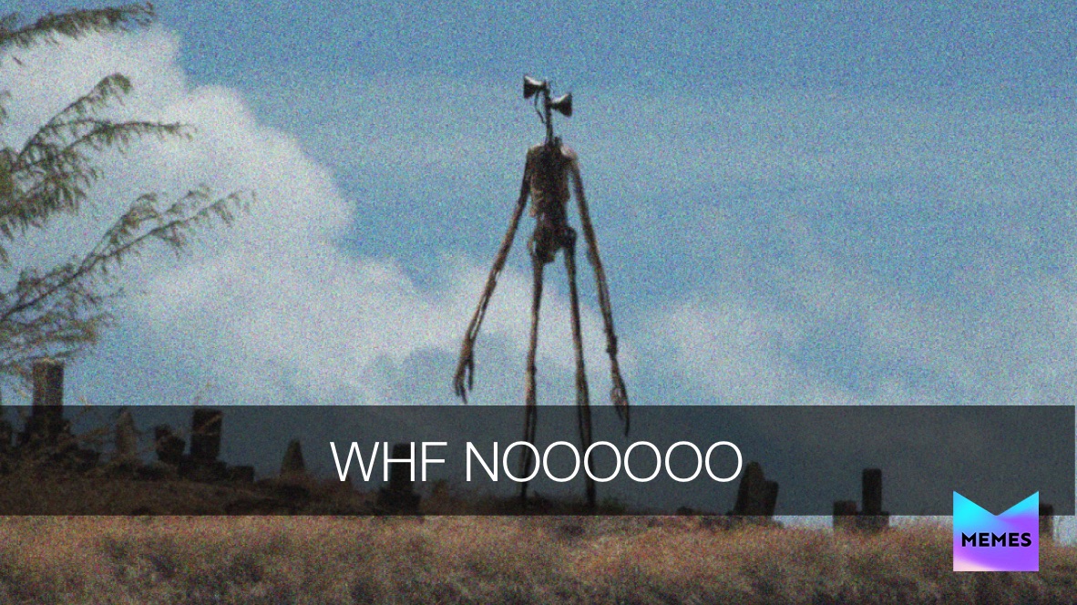 Meme by ree_memes_ree