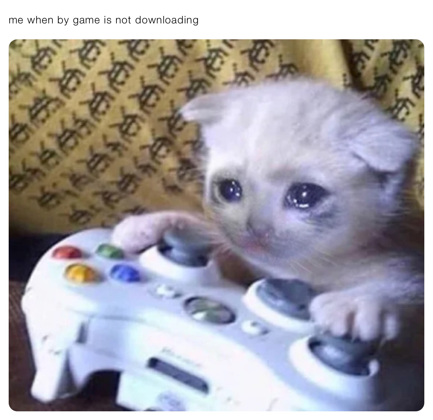 me when by game is not downloading 