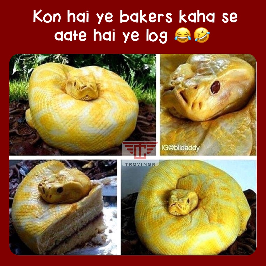 Kon hai ye bakers kaha se aate hai ye log 😂🤣