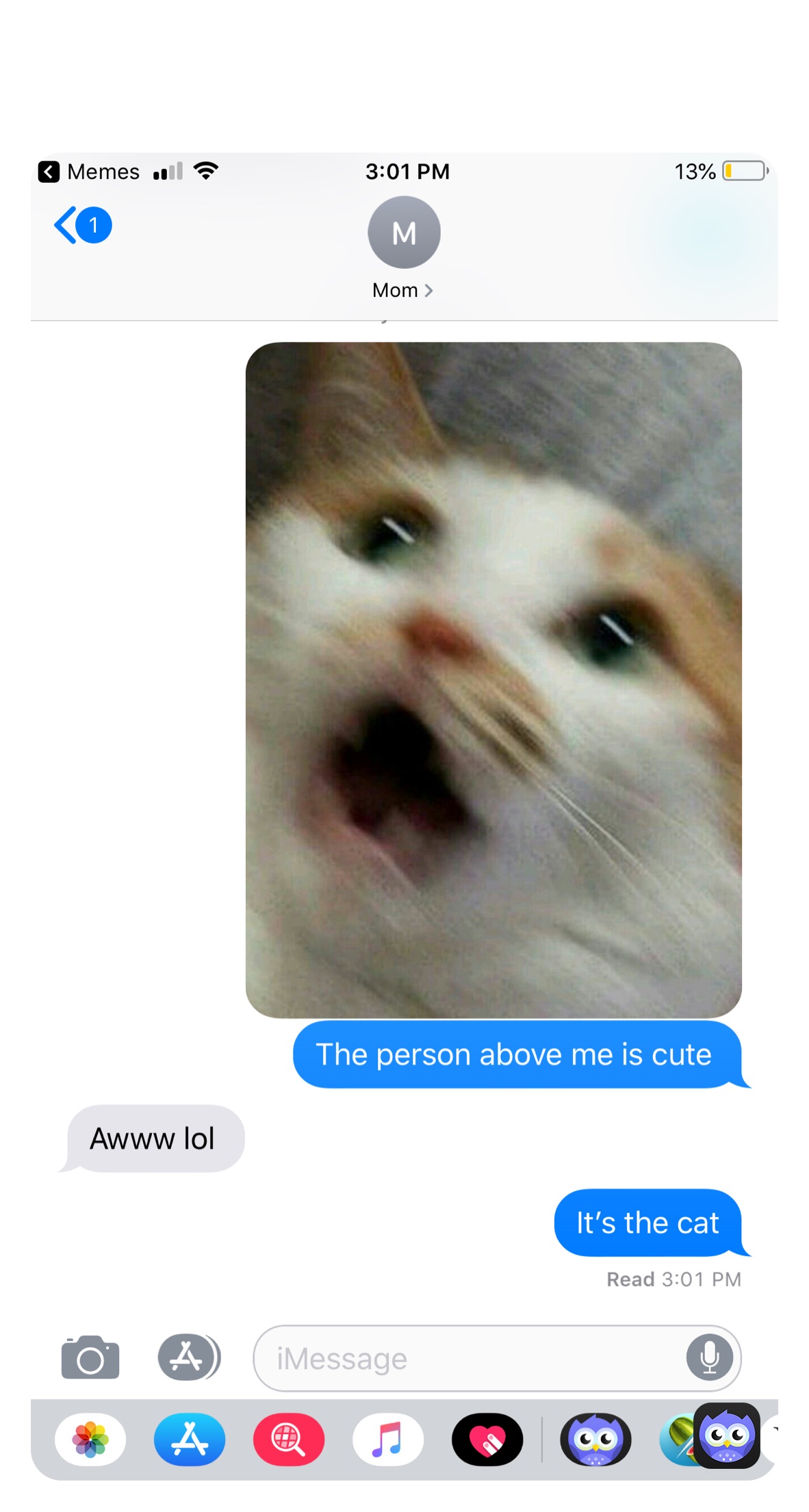 Hilarious Cat Memes to Brighten Your Day, image size:1182x2210