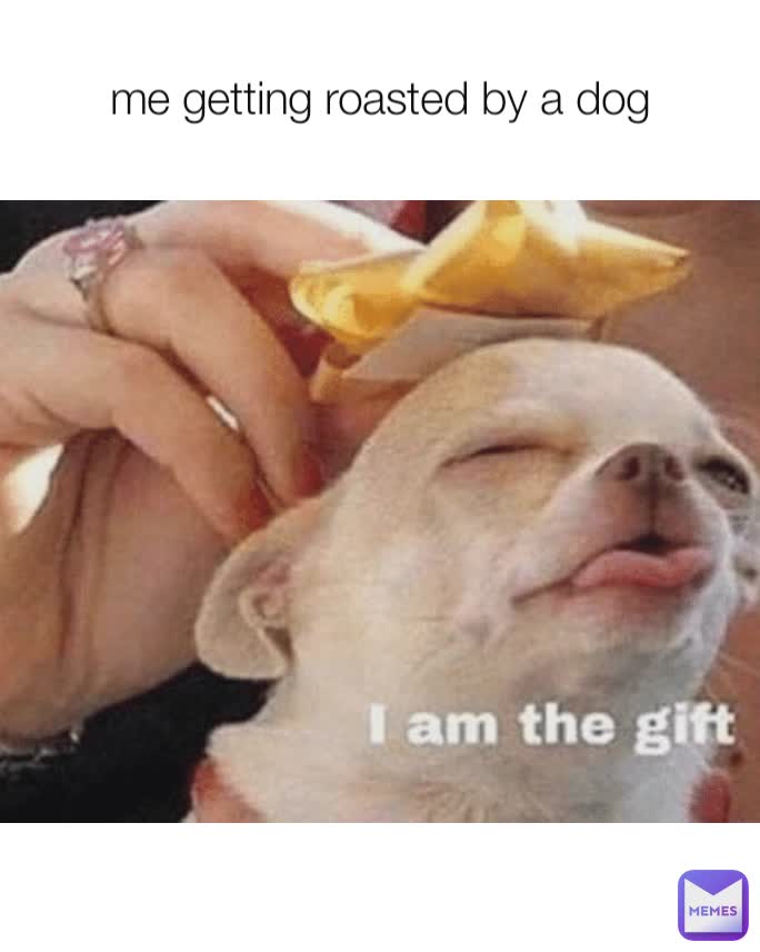 me getting roasted by a dog