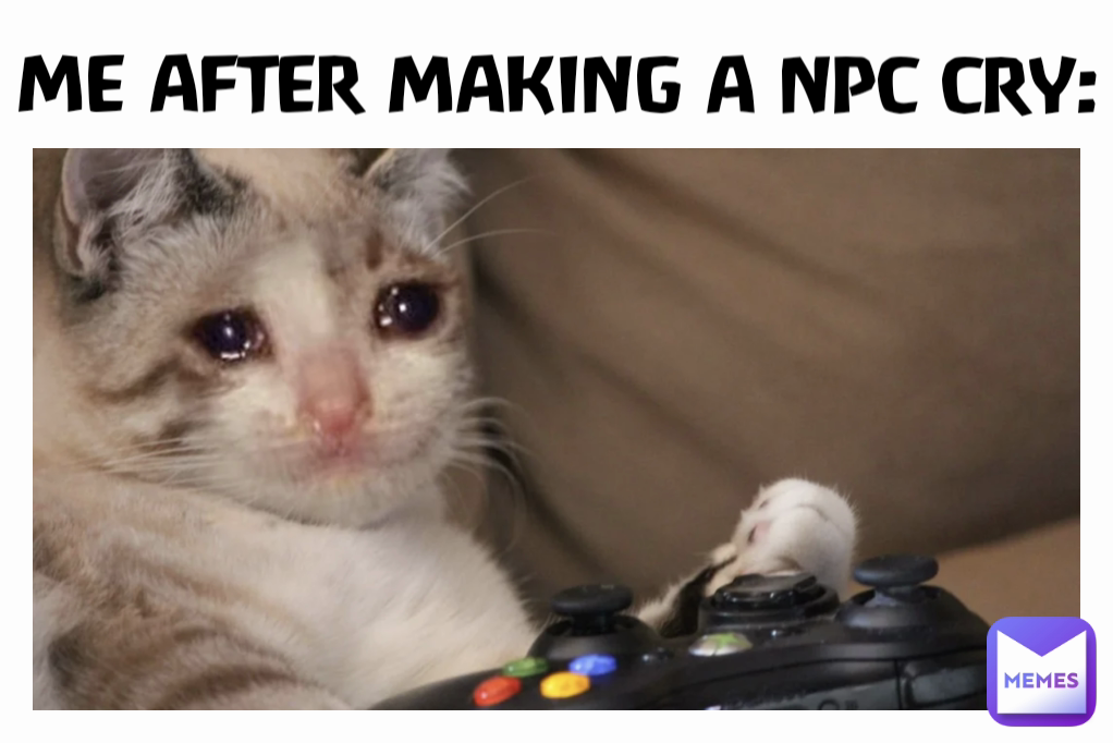 ME AFTER MAKING A NPC CRY: