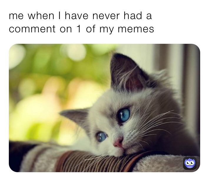 me when I have never had a comment on 1 of my memes