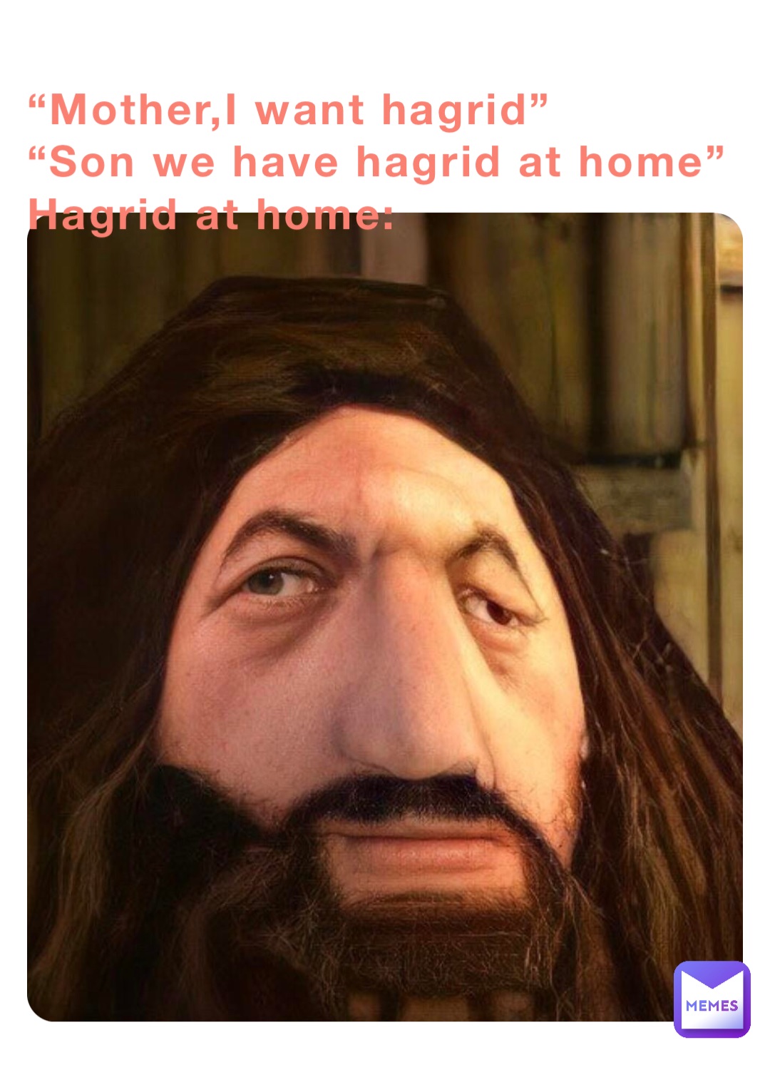 “Mother,I want hagrid”
“Son we have hagrid at home”
Hagrid at home: