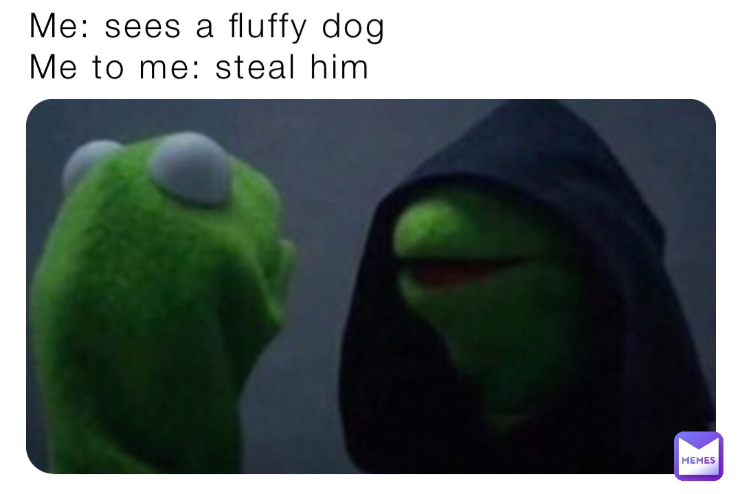 Me: sees a fluffy dog
Me to me: steal him