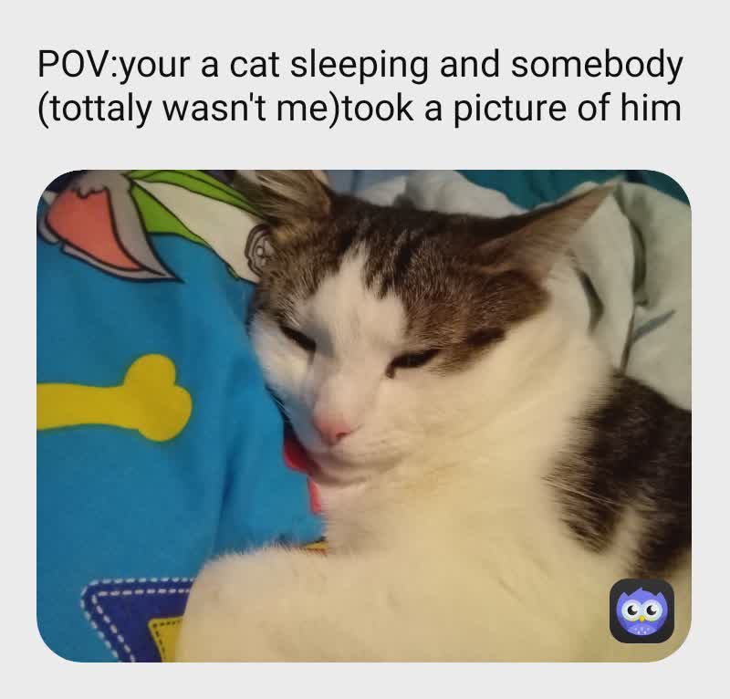 Meme by ernest_the_memer