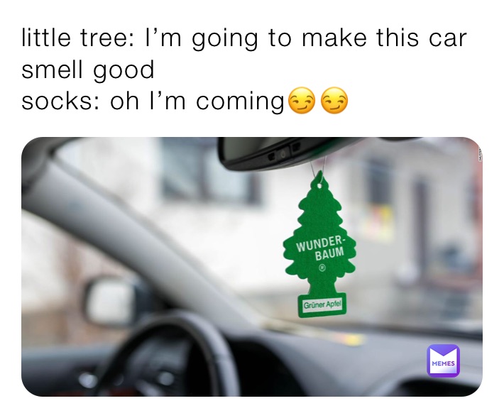 little tree: I’m going to make this car smell good
socks: oh I’m coming😏😏