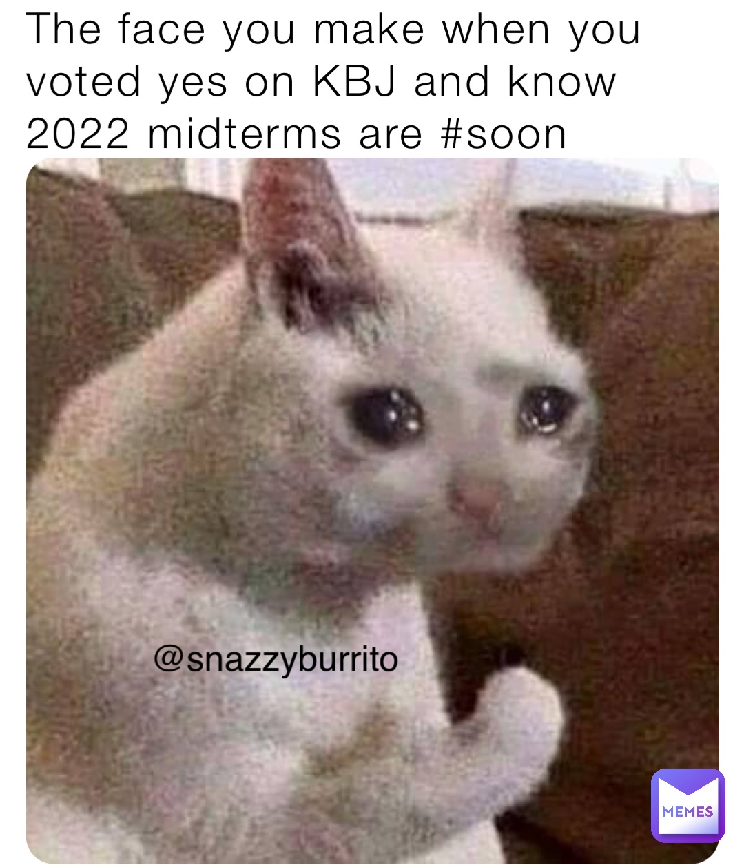 Meme by snazzyburrito1