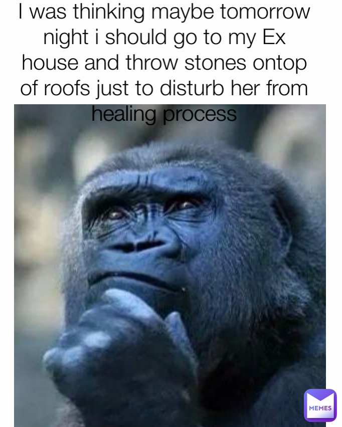 I was thinking maybe tomorrow night i should go to my Ex house and throw stones ontop of roofs just to disturb her from healing process
