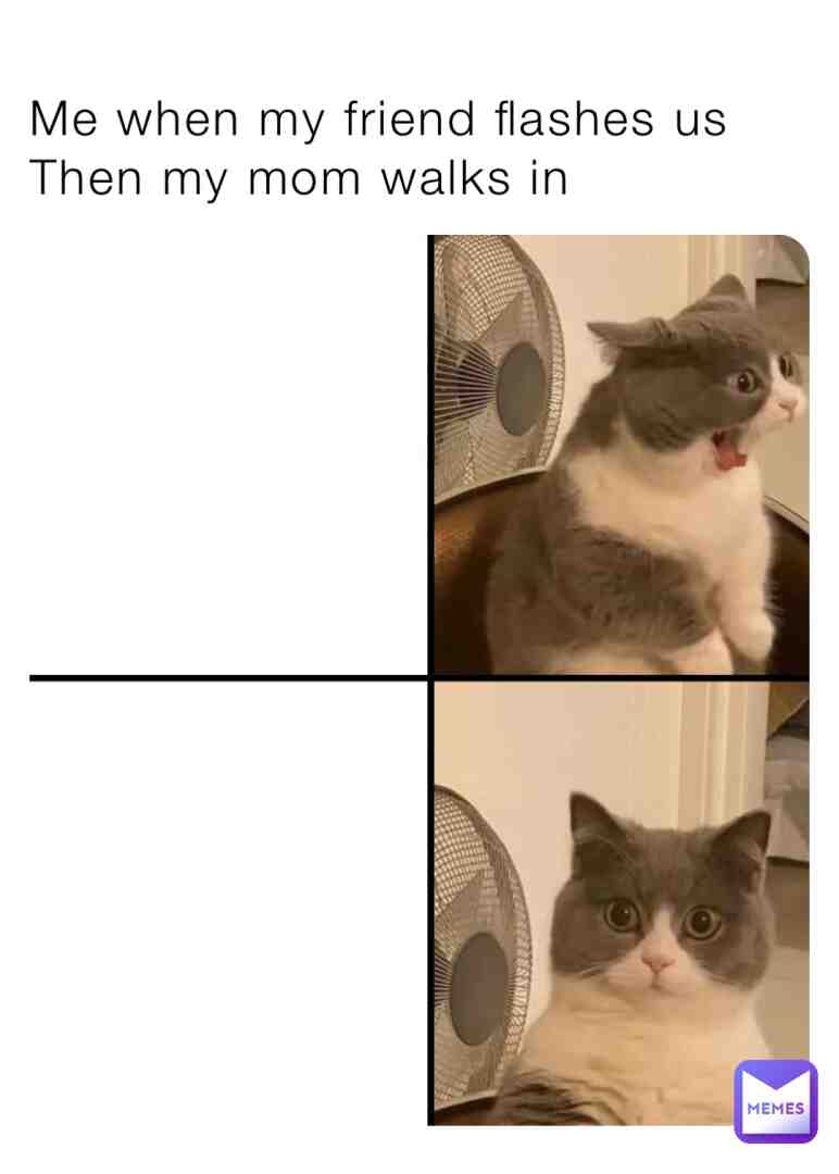 Meme preview