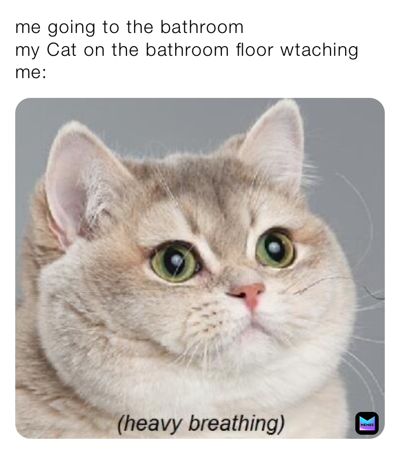 me going to the bathroom 
my Cat on the bathroom floor wtaching me: