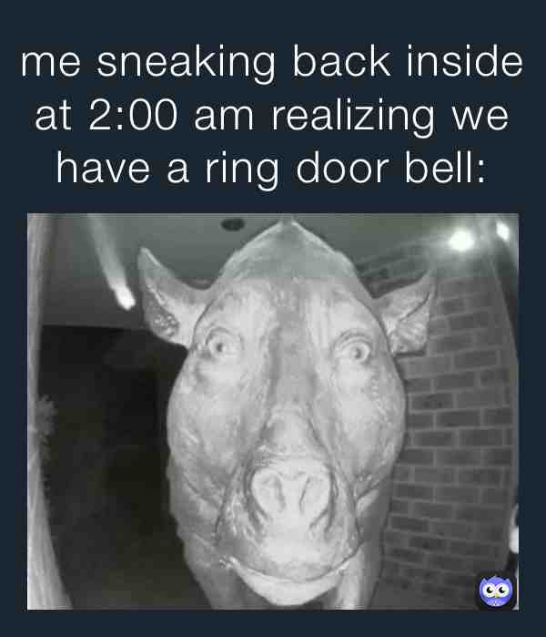Sh!t #memes #damnit #lol #doorbell