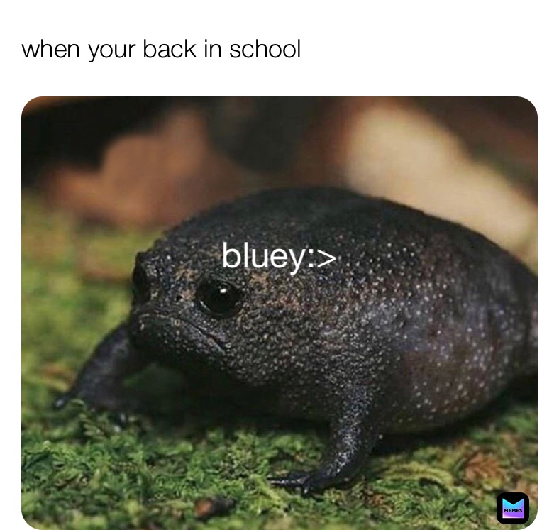 Meme by bluey12