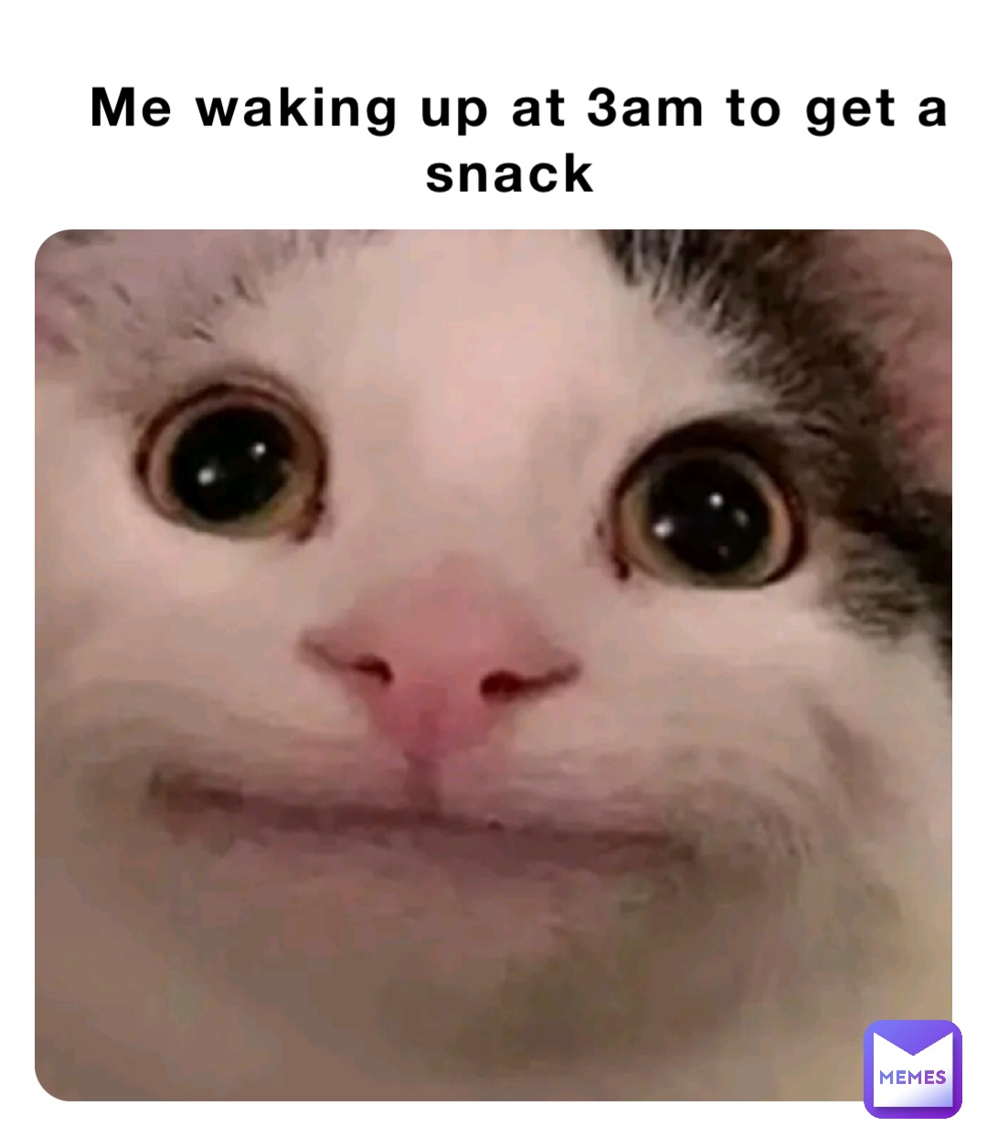 Me waking up at 3am to get a snack