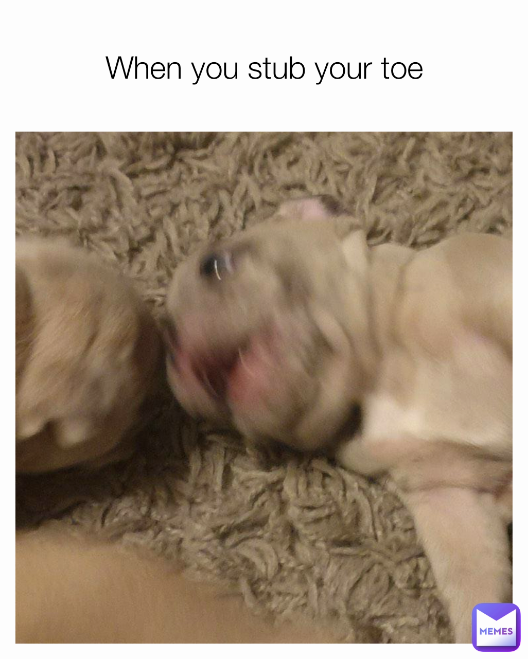 When you stub your toe