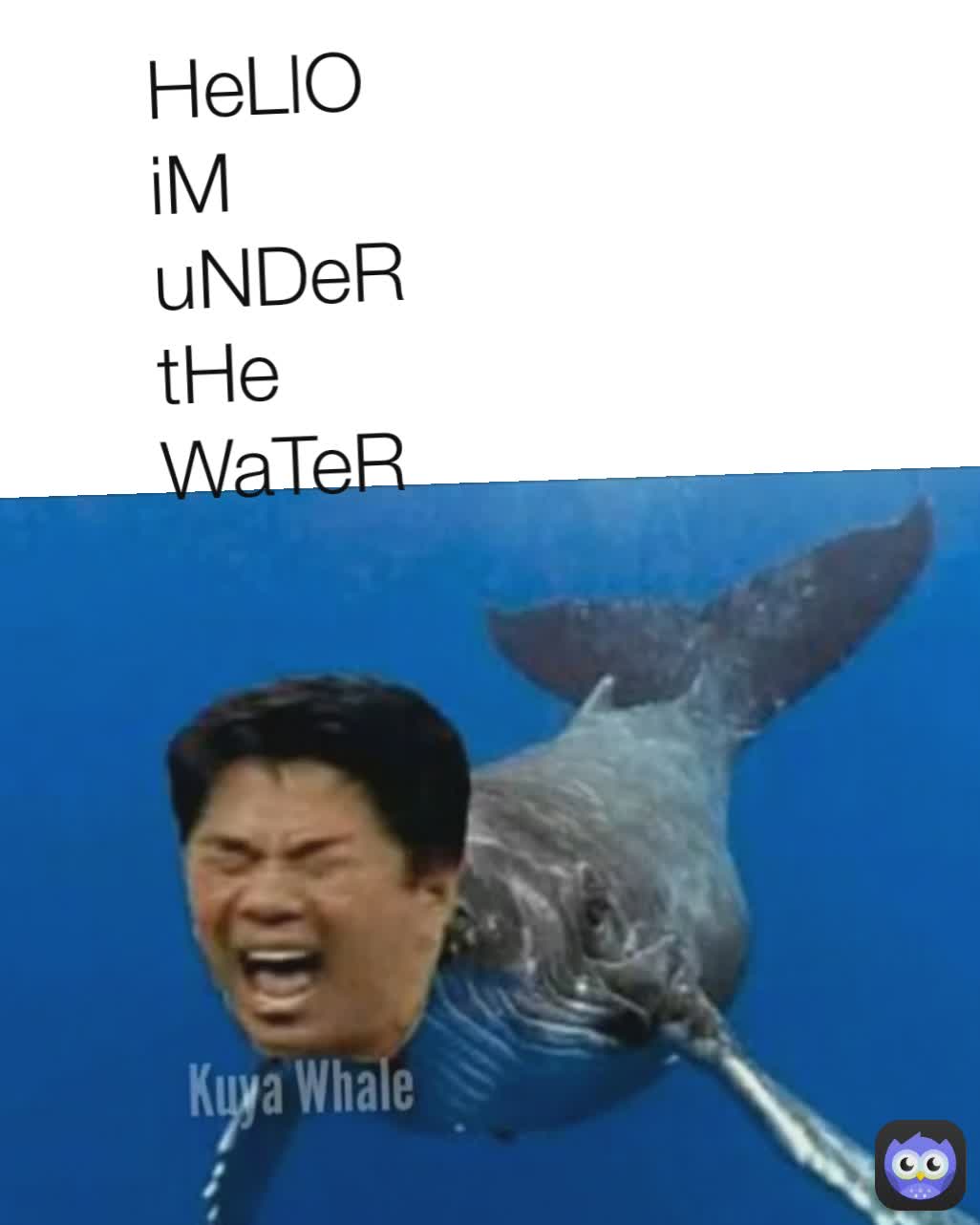 HeLlO iM uNDeR tHe WaTeR