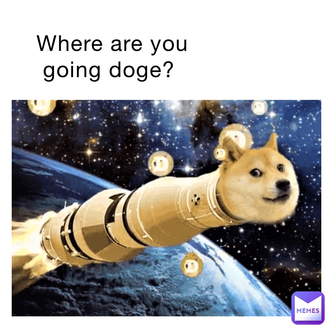 Where are you going doge?