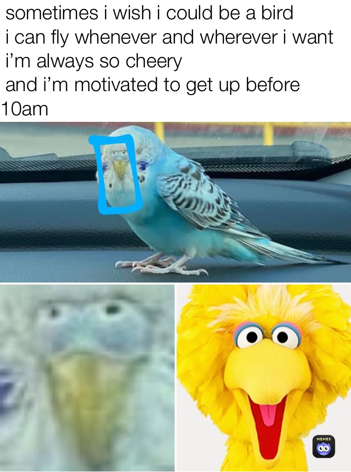  sometimes i wish i could be a bird
 i can fly whenever and wherever i want
 i’m always so cheery
 a￼nd i’m motivated to get up before     10am