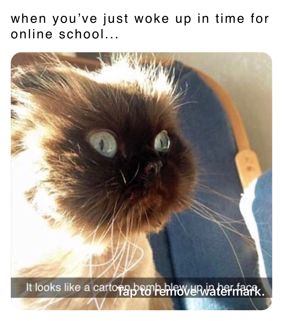 when you’ve just woke up in time for online school...