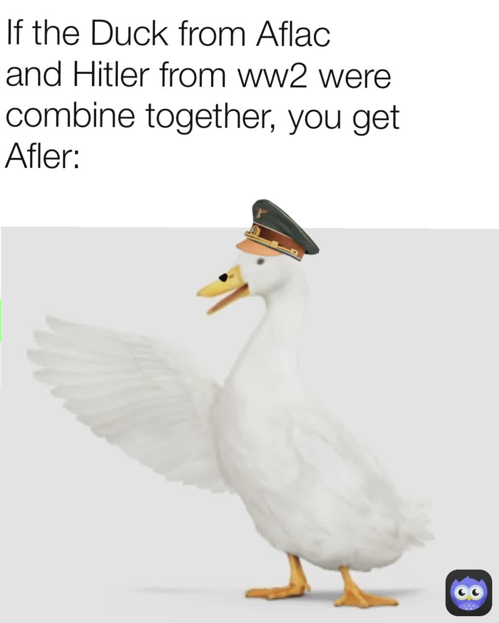 If the Duck from Aflac and Hitler from ww2 were combine together, you get Afler: