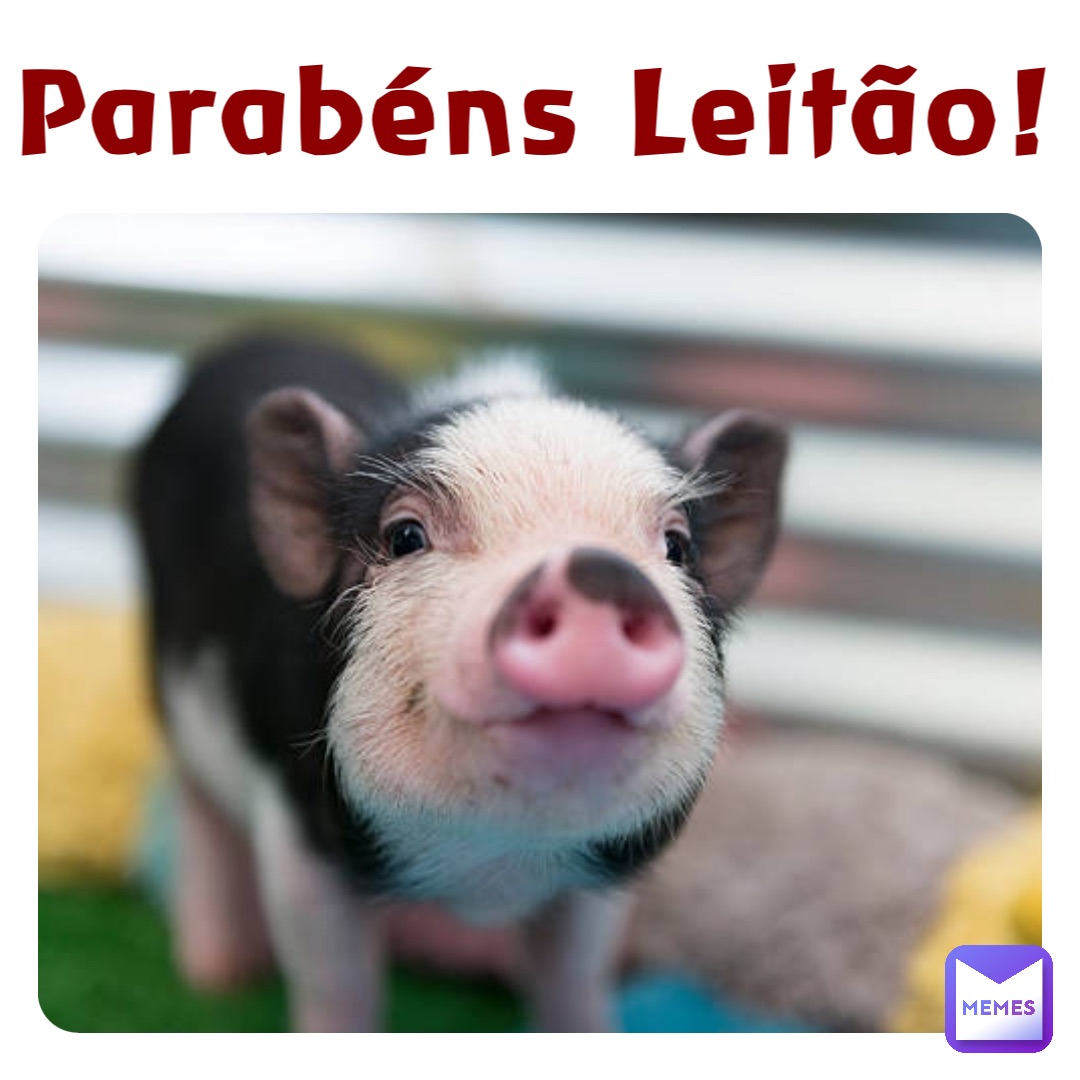 Parabéns Leitão!