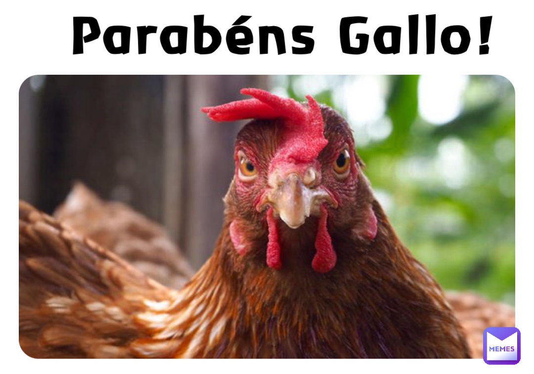 Parabéns Gallo!