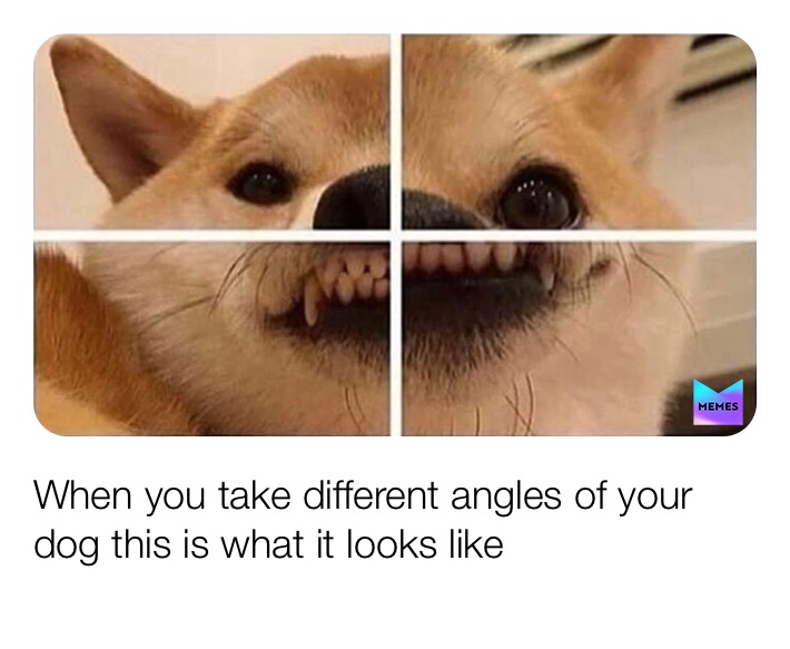 Meme by Markie_lover_