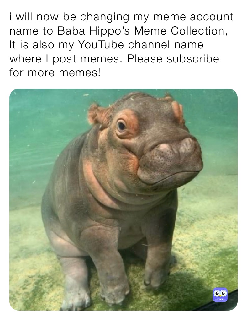 i will now be changing my meme account name to Baba Hippo’s Meme Collection, It is also my YouTube channel name where I post memes. Please subscribe for more memes! 