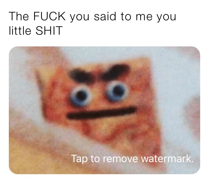 The FUCK you said to me you little SHIT
