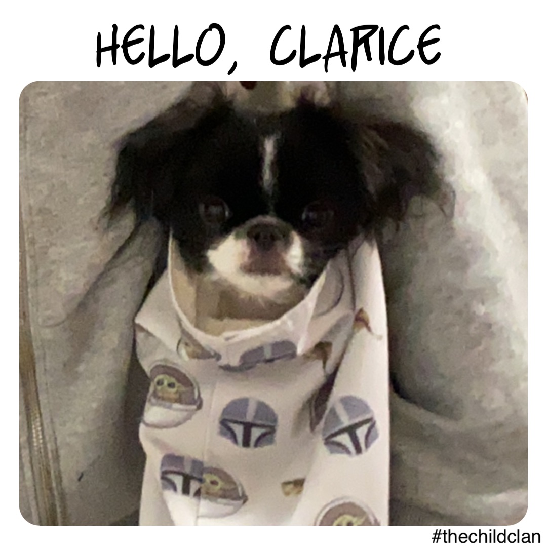 Hello, Clarice