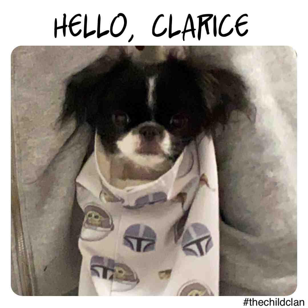 #thechildclan