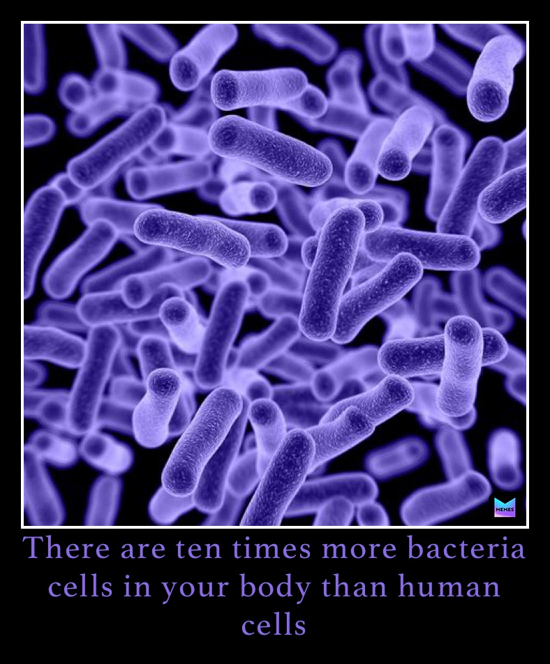 Meme by anatomyknowledge