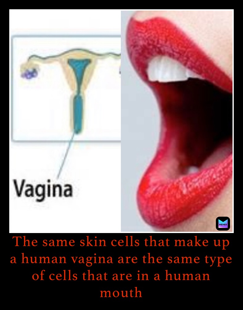 Meme by anatomyknowledge