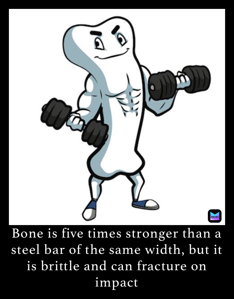 Meme by anatomyknowledge