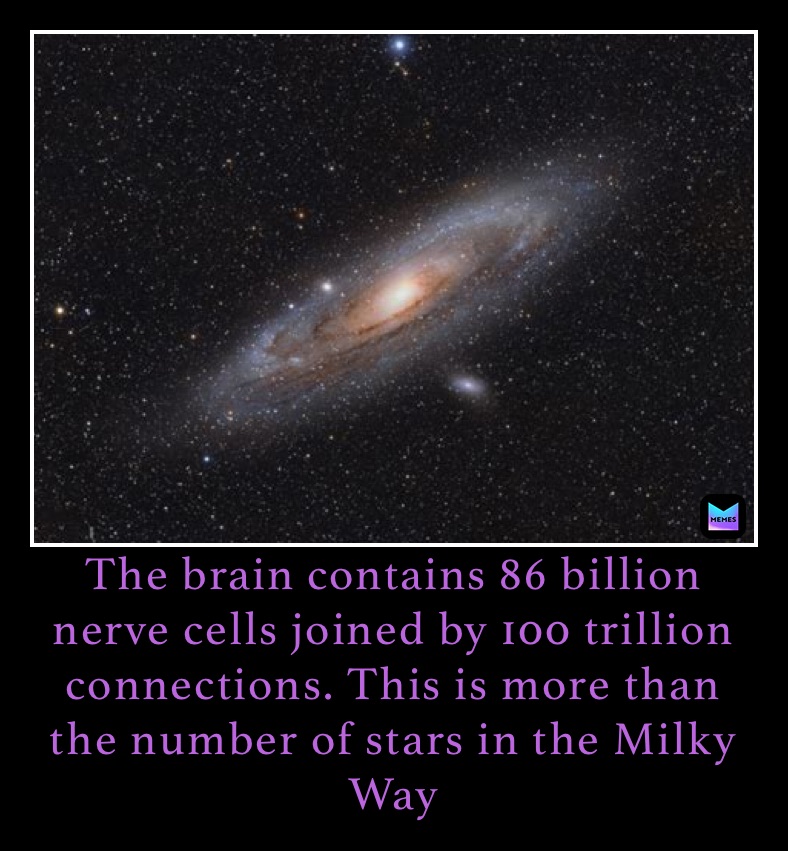 Meme by anatomyknowledge